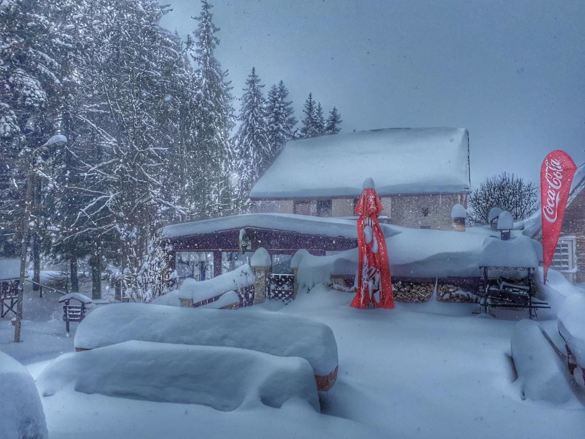 Гостевой дом Pensiunea Faast Предял-27