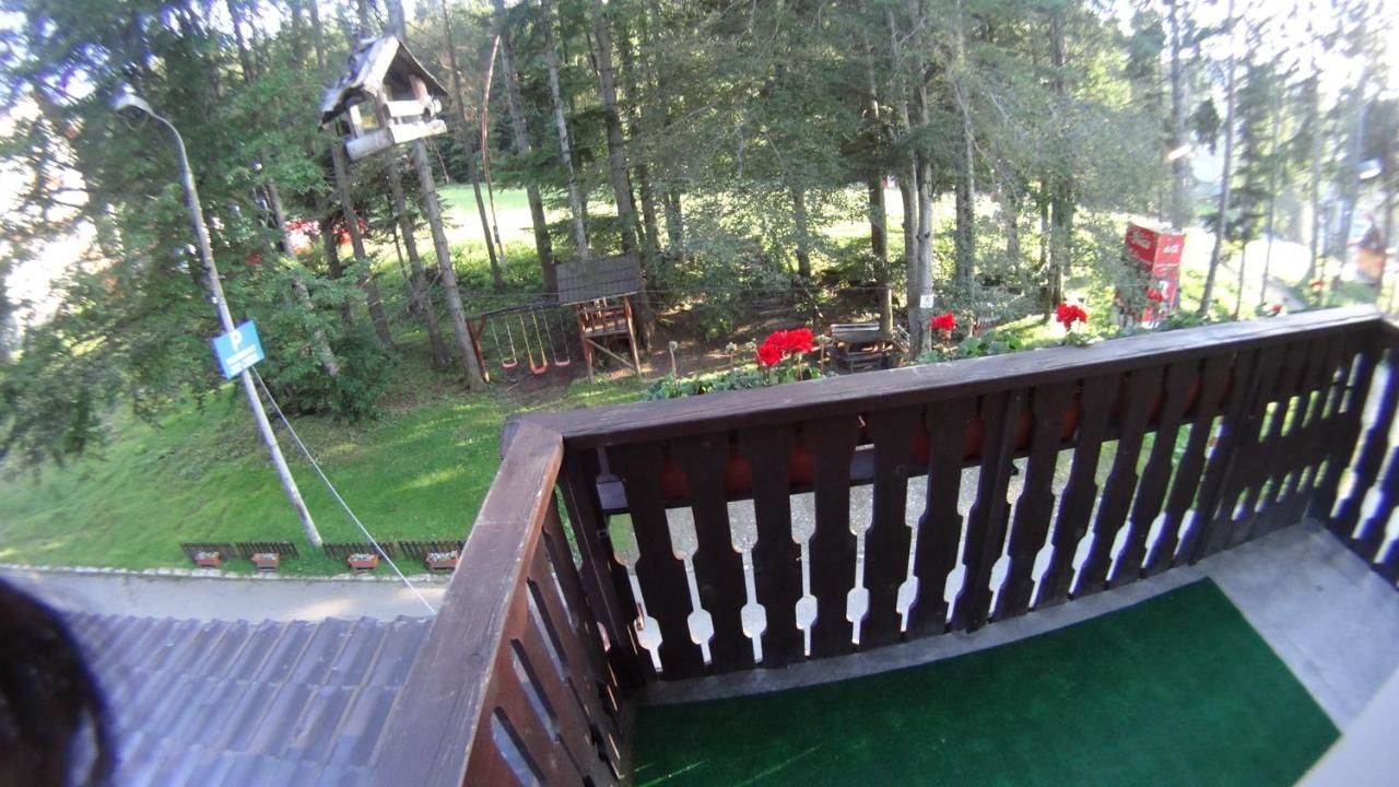 Гостевой дом Pensiunea Faast Предял-43