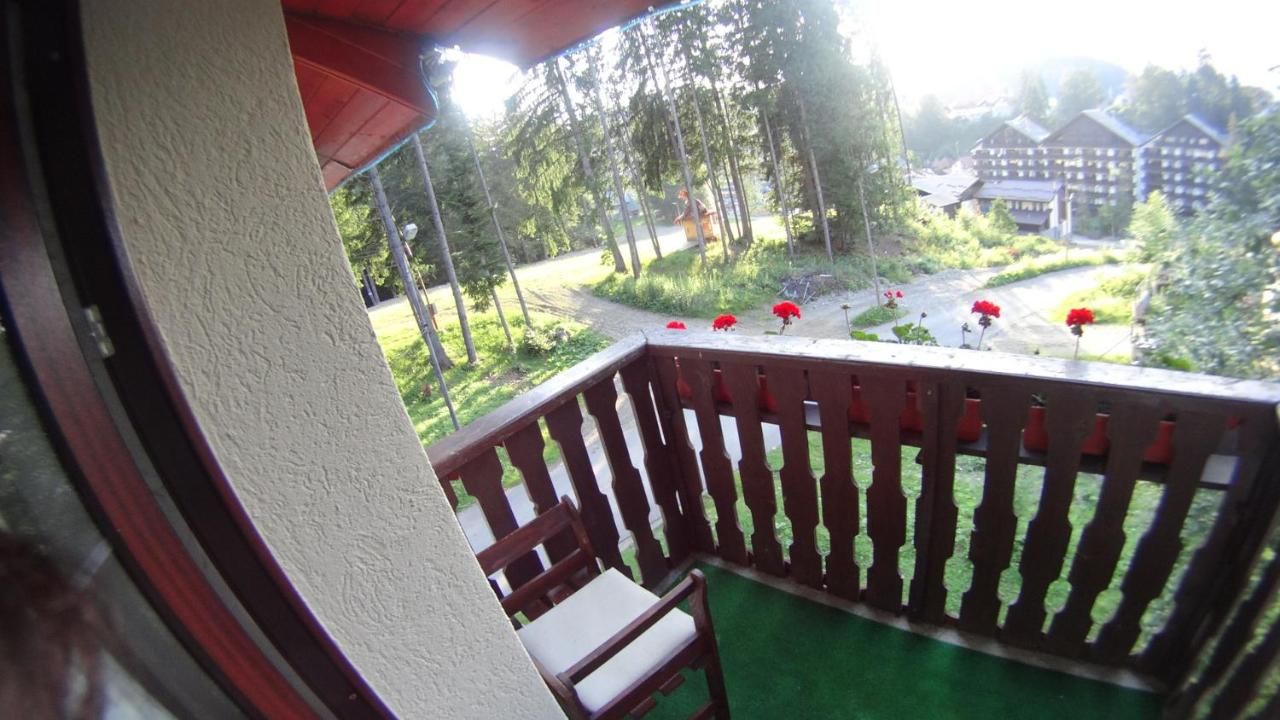 Гостевой дом Pensiunea Faast Предял-44