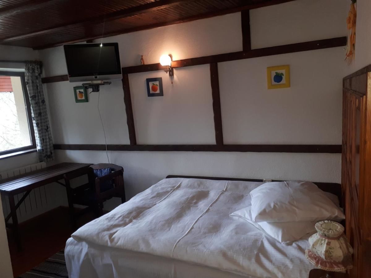 Гостевой дом Pensiunea Faast Предял-10