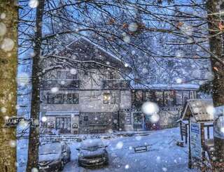 Гостевой дом Pensiunea Faast Предял-0